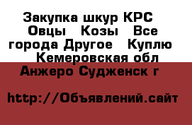 Закупка шкур КРС , Овцы , Козы - Все города Другое » Куплю   . Кемеровская обл.,Анжеро-Судженск г.